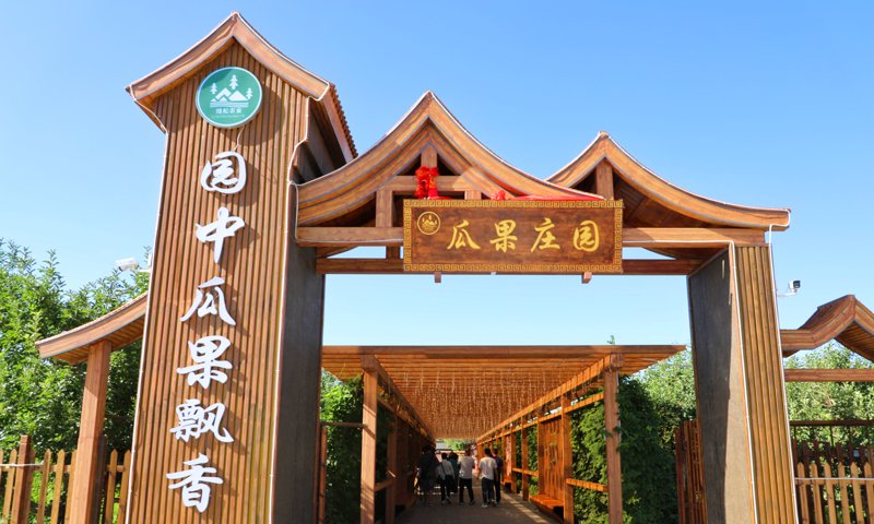 葡萄采摘的乐趣