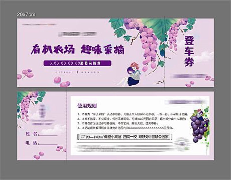 葡萄采摘的乐趣与分享
